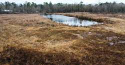 18450 FM 1314 RD, CONROE Land | 11.56 acres