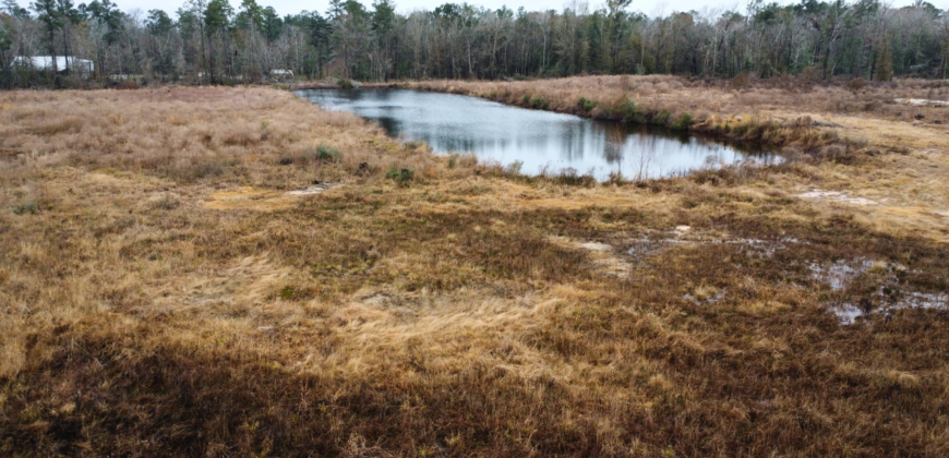 18450 FM 1314 RD, CONROE Land | 11.56 acres