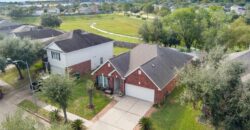 10914 Great Hawk Lane, Houston, TX 77075
