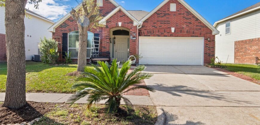 10914 Great Hawk Lane, Houston, TX 77075