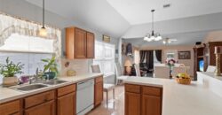 10914 Great Hawk Lane, Houston, TX 77075