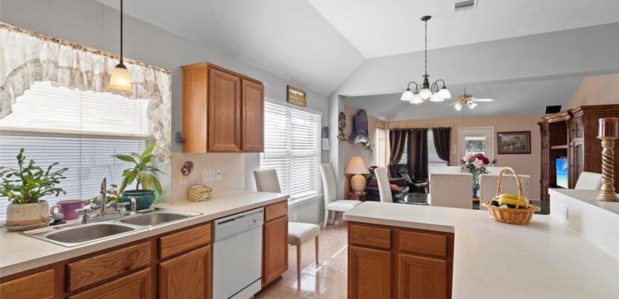 10914 Great Hawk Lane, Houston, TX 77075